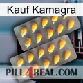 Purchase Kamagra cialis2